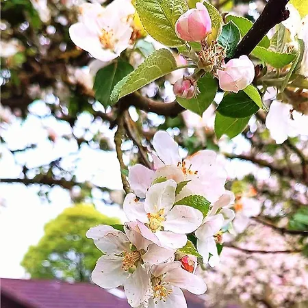 Le Daim La Boverie Σαλέ